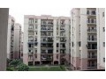 Details : Dwarka Sector 3, Delhi property, 3 BHK flat for sale